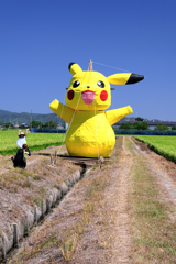 畑の真ん中にピカチュー出現!#7