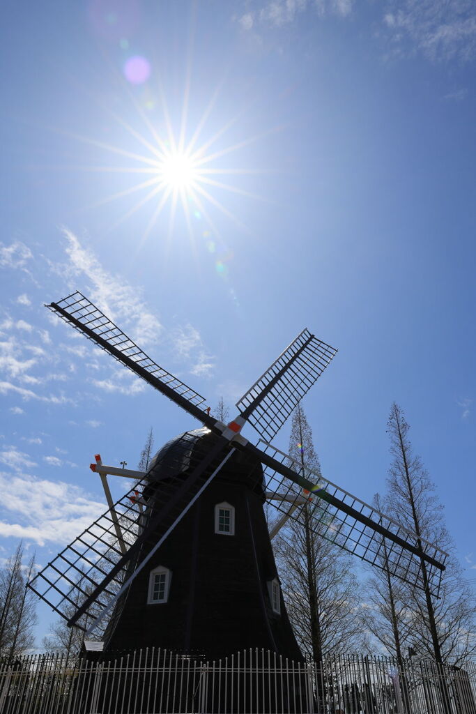 春爛漫のデンパーク安城＃１