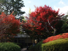 京都風情タップリ丈山苑＃１６