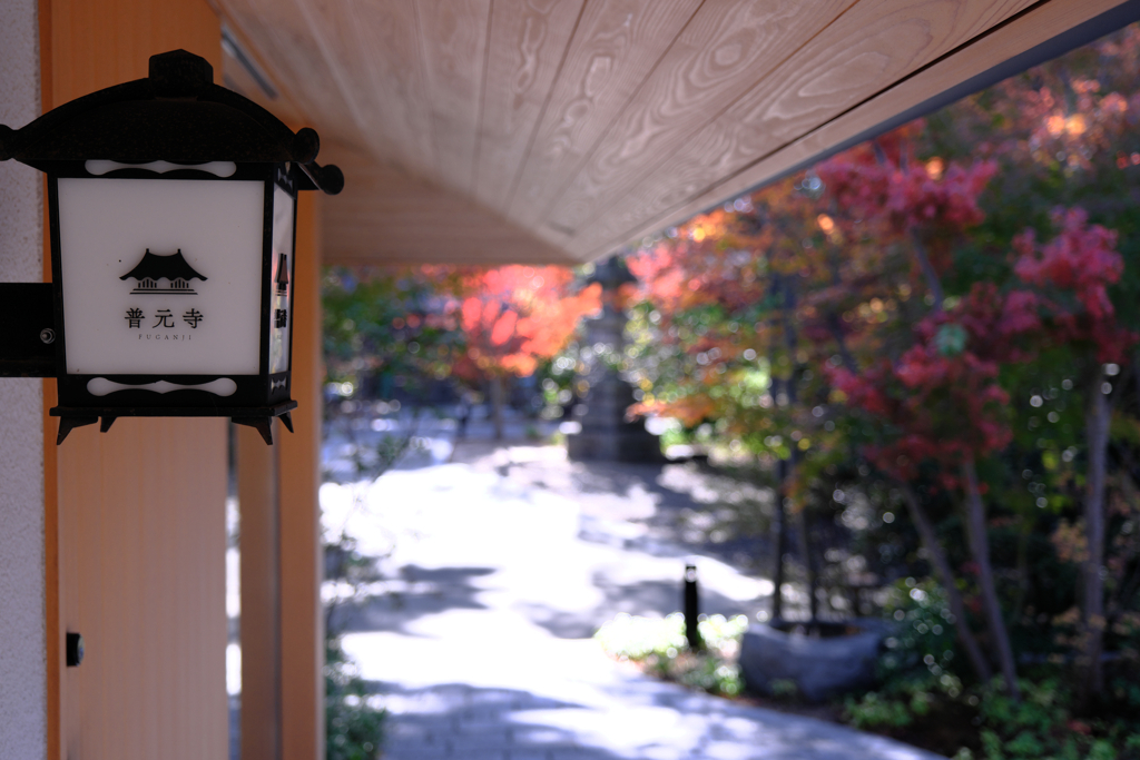 一色町・普元寺の紅葉＃５