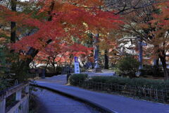 見頃を迎えた松平郷の紅葉＃１