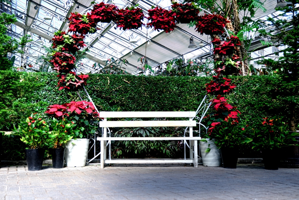 なばなの里・ベゴニアガーデン＃５