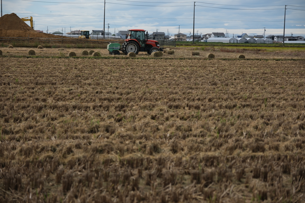 安城市で見掛けたわらロールのある情景＃４