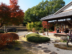 西尾歴史公園の紅葉#5