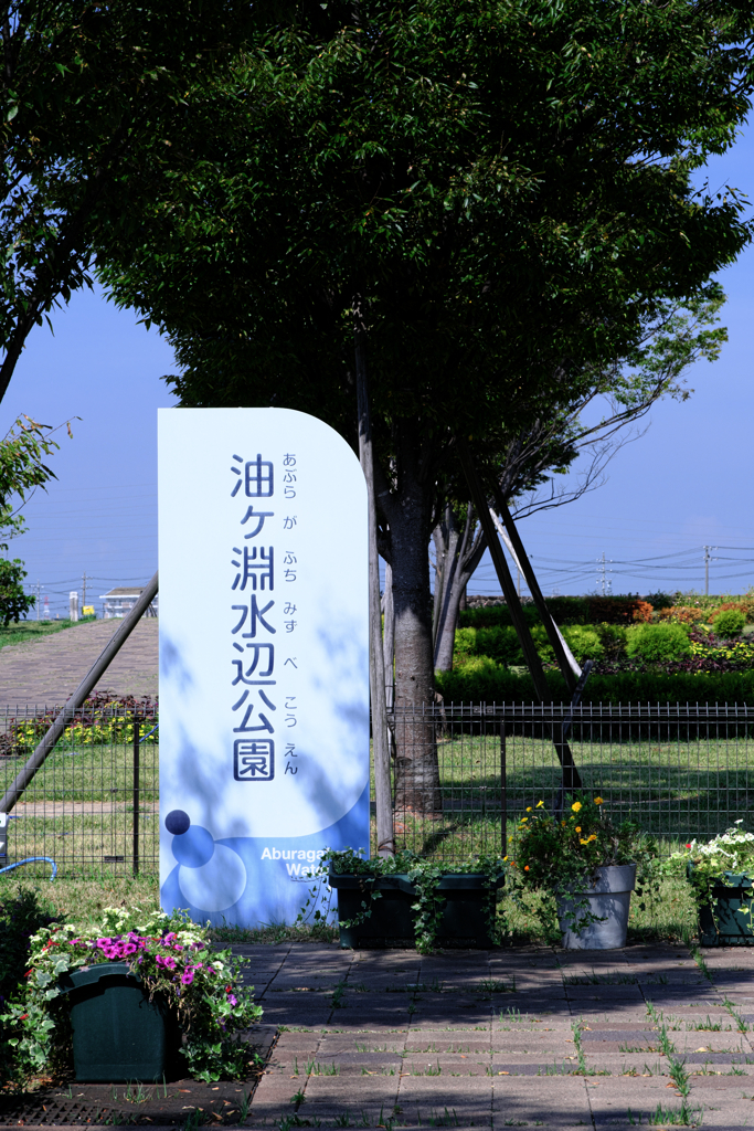 残暑厳しい水辺公園の様子＃１