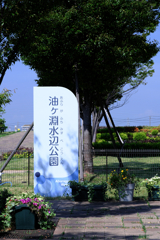 残暑厳しい水辺公園の様子＃１
