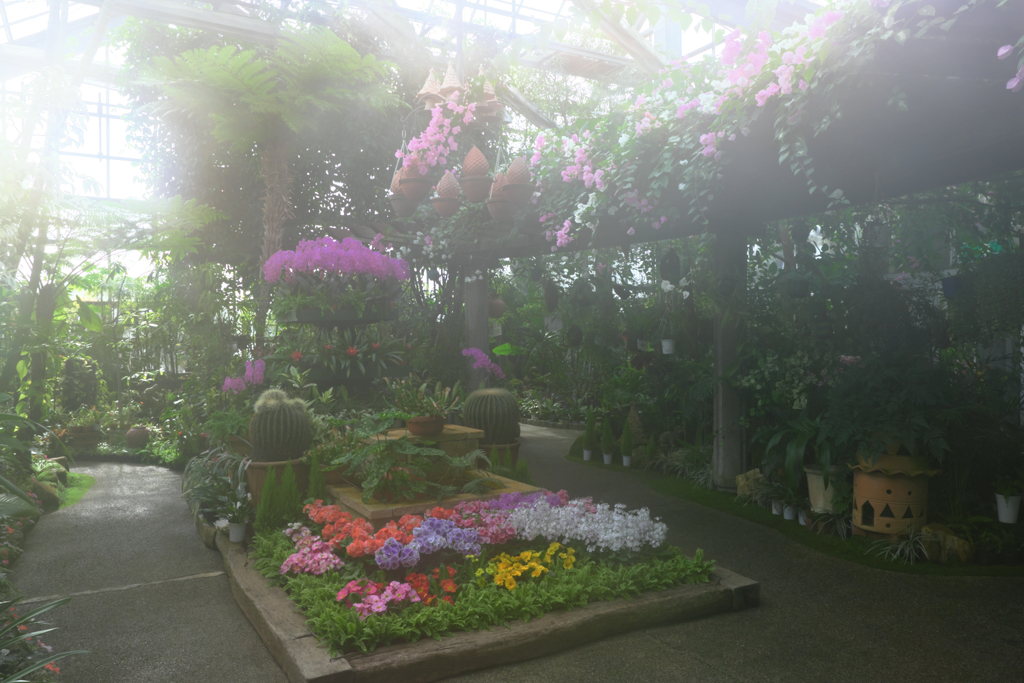 勝手にソフトフォーカス・・・・＃１