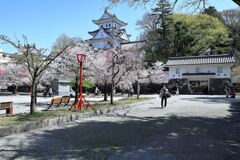 春爛漫の大垣公園と大垣城＃４