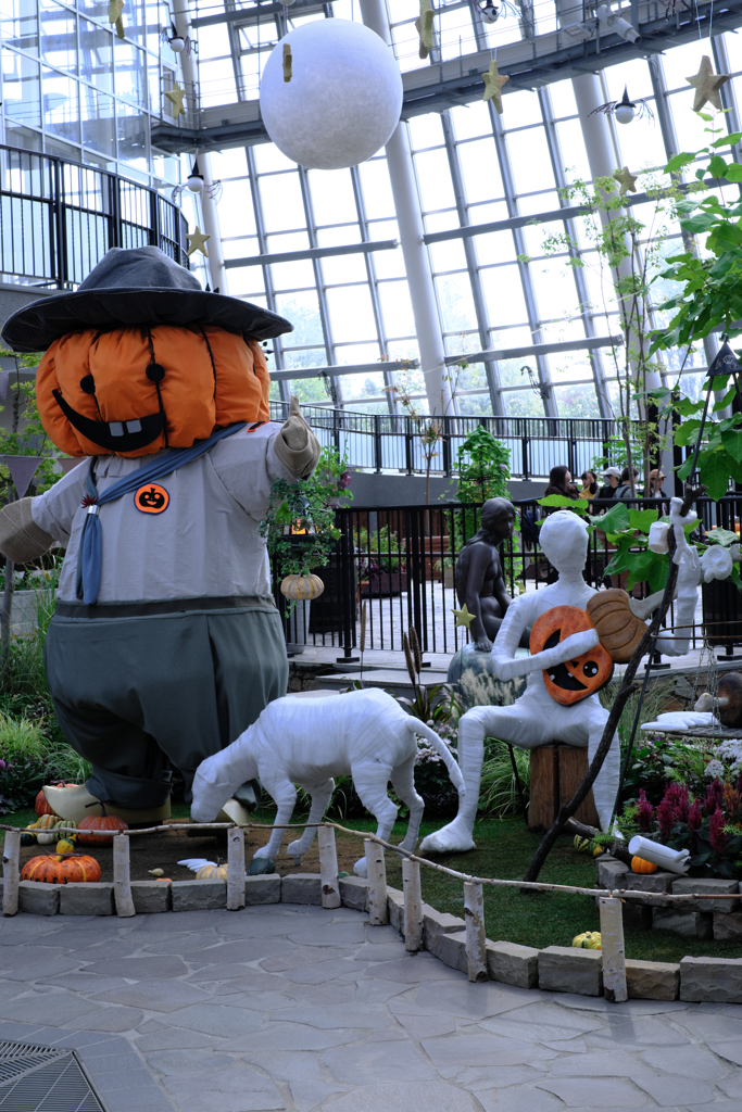 秋本番デンパークとハロウィン＃５