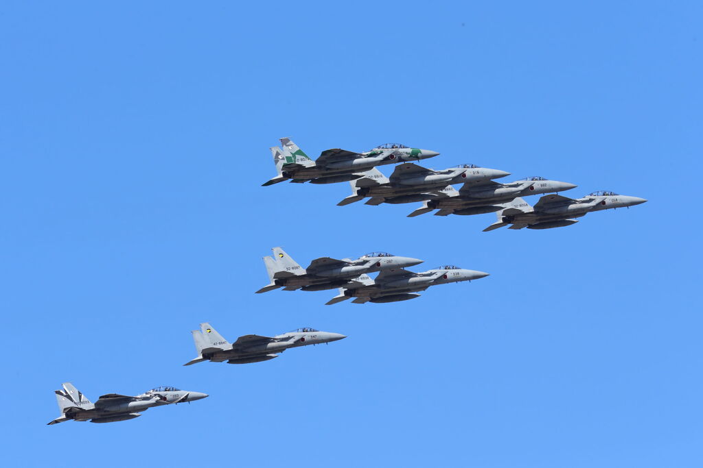 アグレッサー部隊の編隊