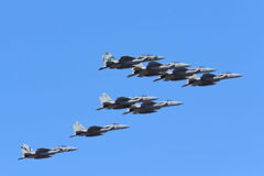 アグレッサー部隊の編隊