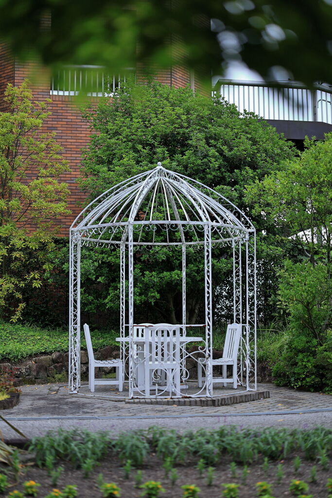 夏至の暑さに負けず・・・・＃９