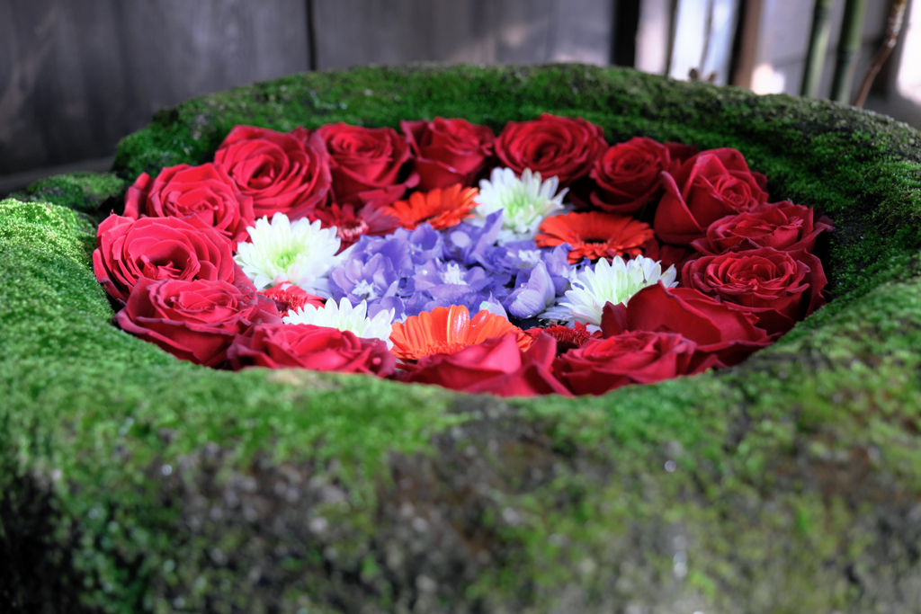 岡崎市・菅生神社の花手水＃８