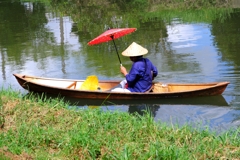 咲き初めはピンクから#9