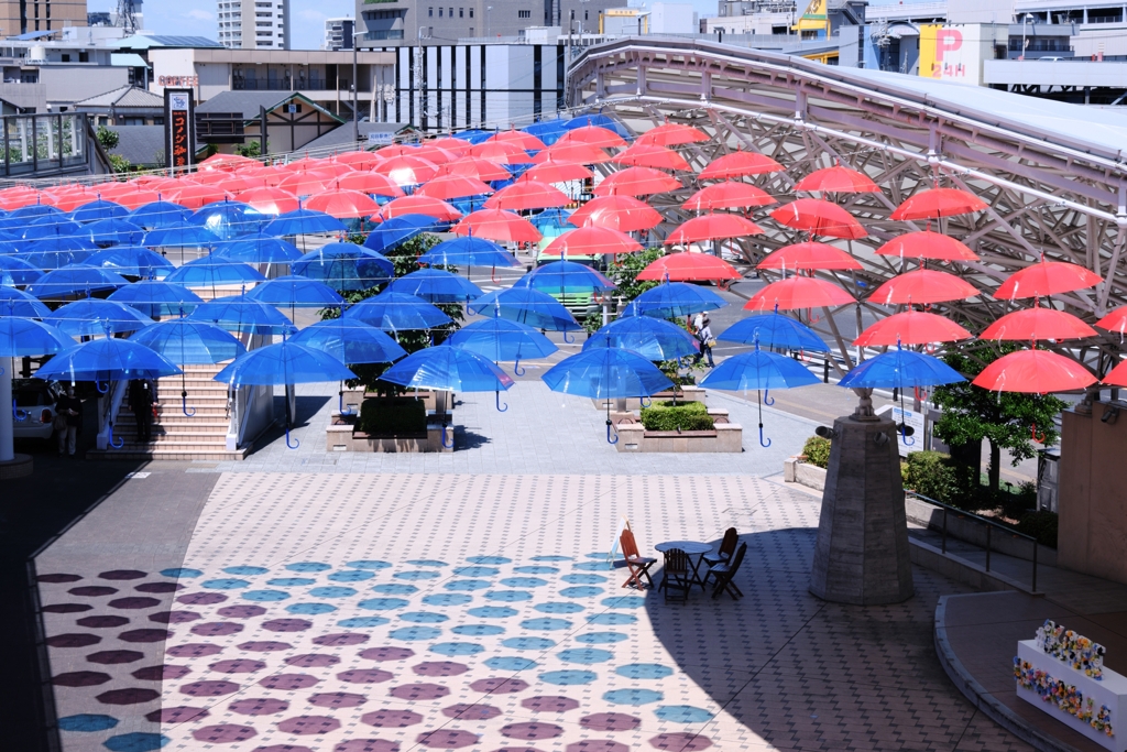 ２年振りのカリアンブレラ＃６