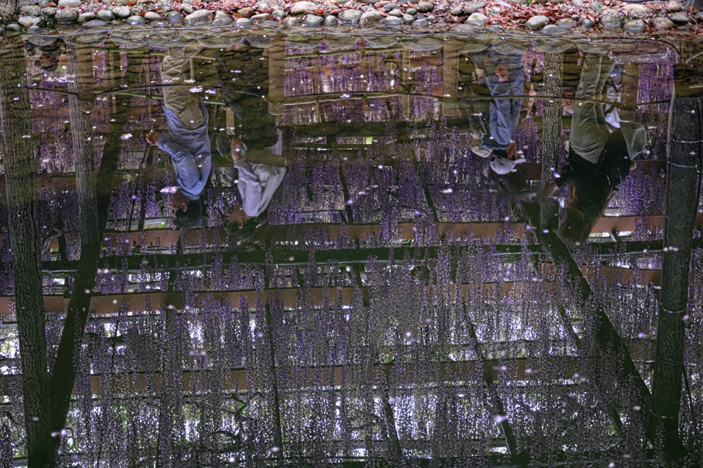 天王川・水面への映り込み＃４