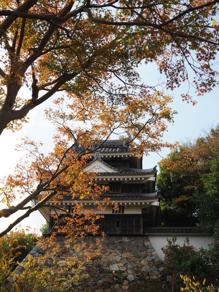 西尾歴史公園の紅葉＃８