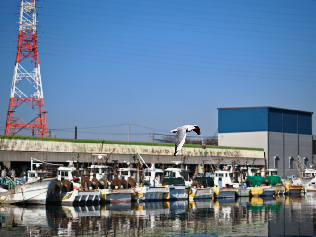 年の瀬・大浜港の静けさ＃７
