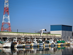 年の瀬・大浜港の静けさ＃７