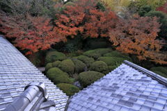 今シーズンラストの紅葉撮影＃１８