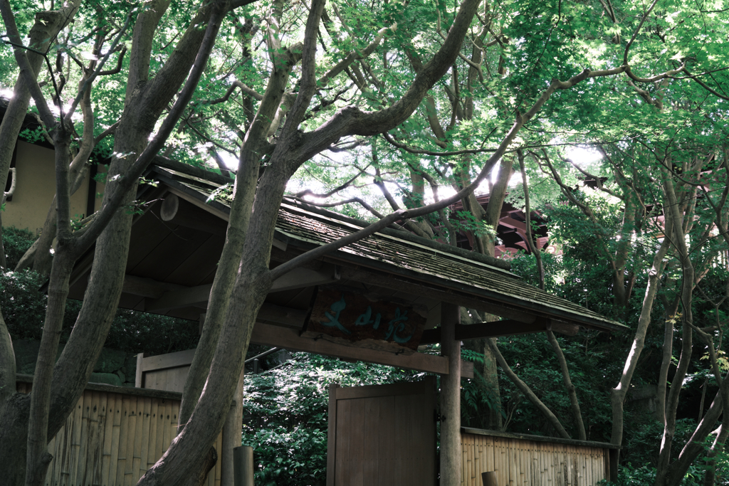 新緑が眩しい丈山苑＃３