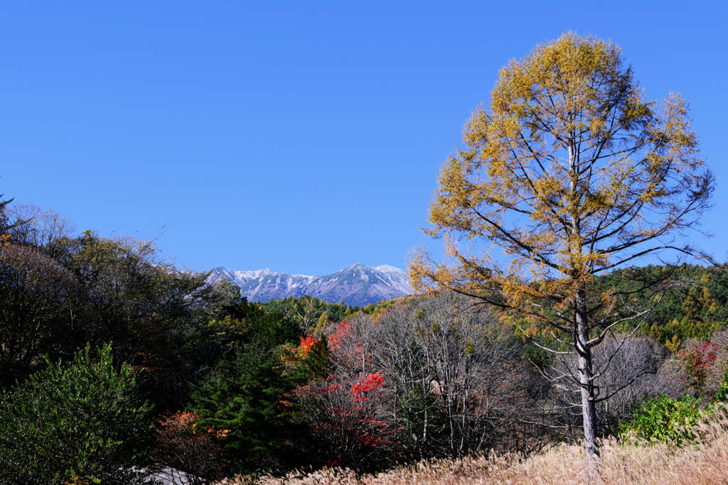 御嶽山が薄っすら雪化粧＃７