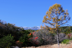 御嶽山が薄っすら雪化粧＃７