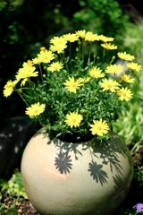 ガーデンミュージアム花遊庭#7