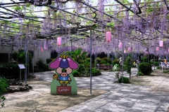 ローカルでも歴史のある藤園＃１