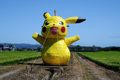 畑の真ん中にピカチュー出現!#4