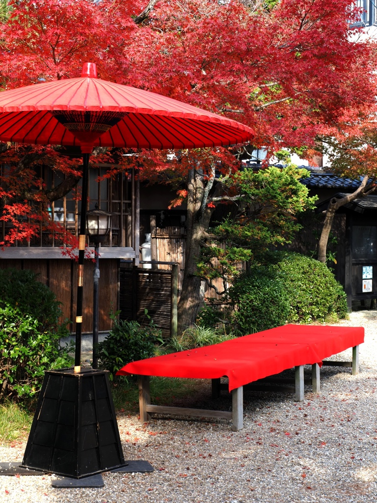 紅葉の名所西尾市の『尚古荘』＃４