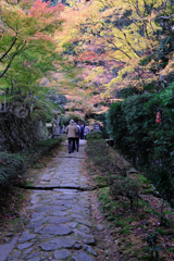 金剛輪寺の紅葉＃２