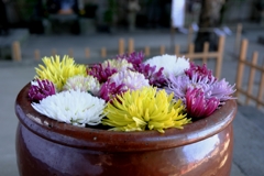 岡崎・菅生神社の花手水#3