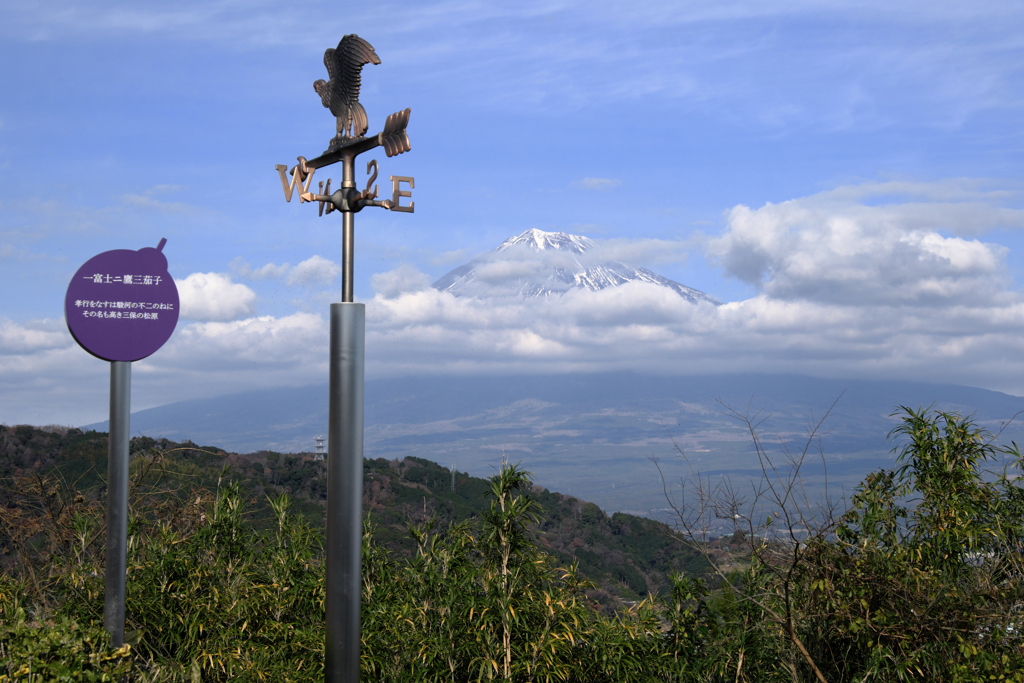 大渕笹場と富士川Ｓ.Ａ　＃８
