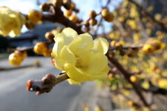 あれから１週間が過ぎ・・・・＃２