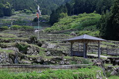 新城市・四谷千枚田棚田＃１０