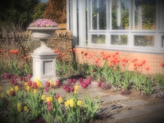 フローラルガーデンよさみ＃７