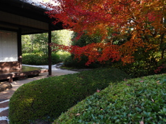 京都風情タップリ丈山苑#8