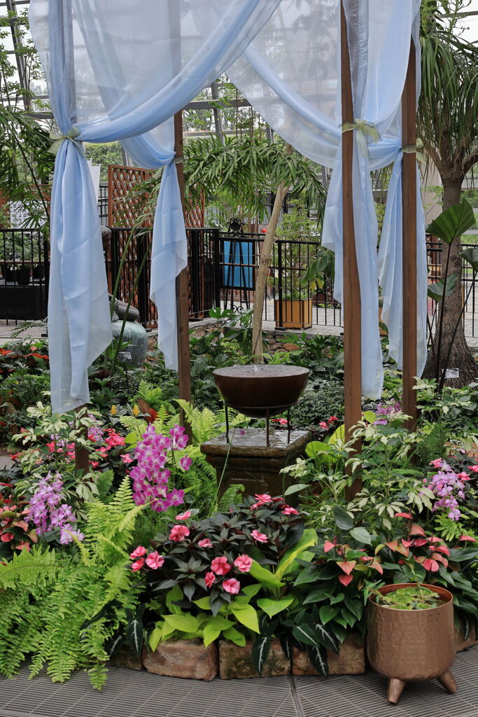 夏至の暑さに負けず・・・・＃５