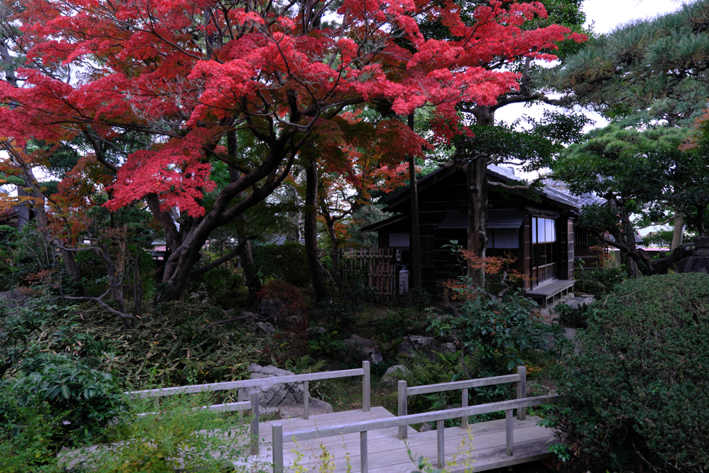 西尾歴史公園＆尚古荘＃９