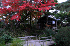 西尾歴史公園＆尚古荘＃９