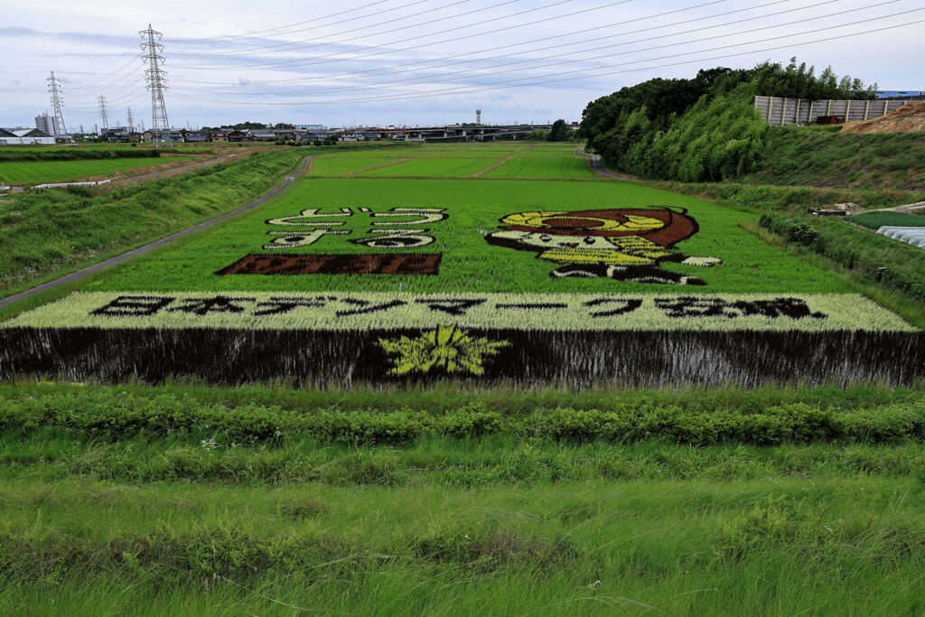 今年も逢いに田んぼアート＃４