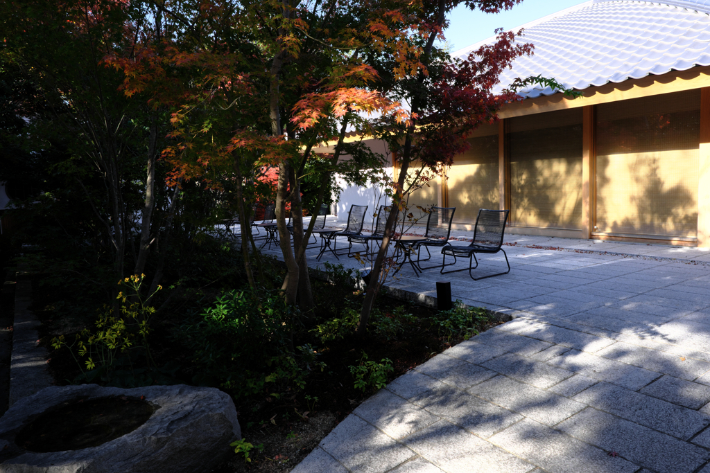 一色町・普元寺の紅葉＃４