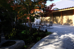 一色町・普元寺の紅葉＃４