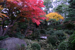 西尾歴史公園＆尚古荘＃８