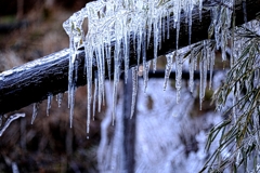湧水広場・氷瀑撮影＃１０