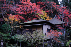 金剛輪寺の紅葉＃４