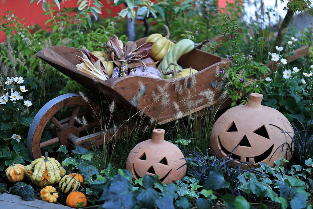 デンパークのハロウィン＃１