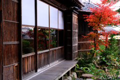 西尾歴史公園と尚古荘の紅葉＃６