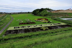 今年も逢いに田んぼアート＃５